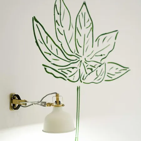 Paydos Gazde/Camere de închiriat