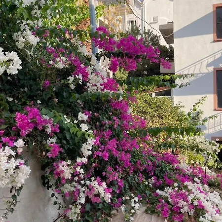 Gazde/Camere de închiriat Paydos *